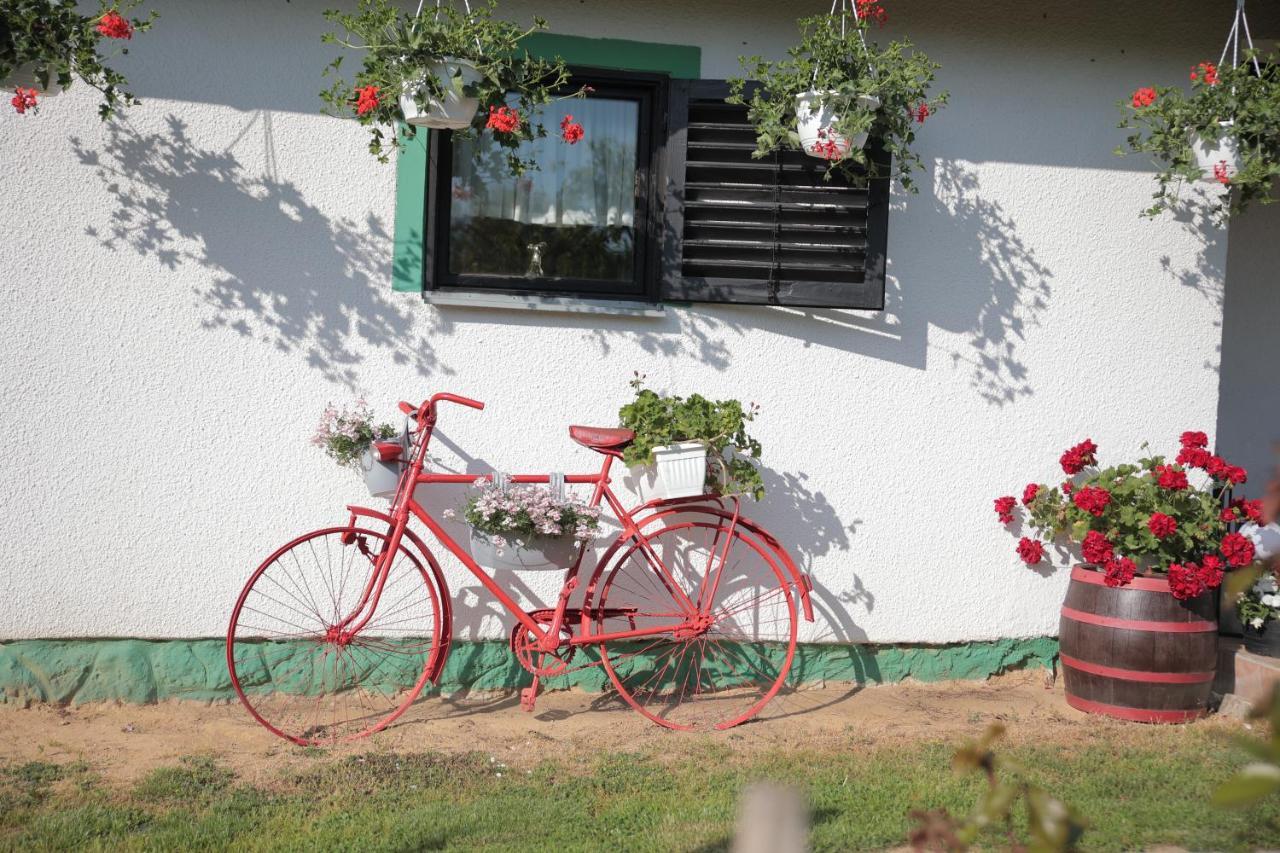 Apartment Amigo Sirova Katalena Dış mekan fotoğraf